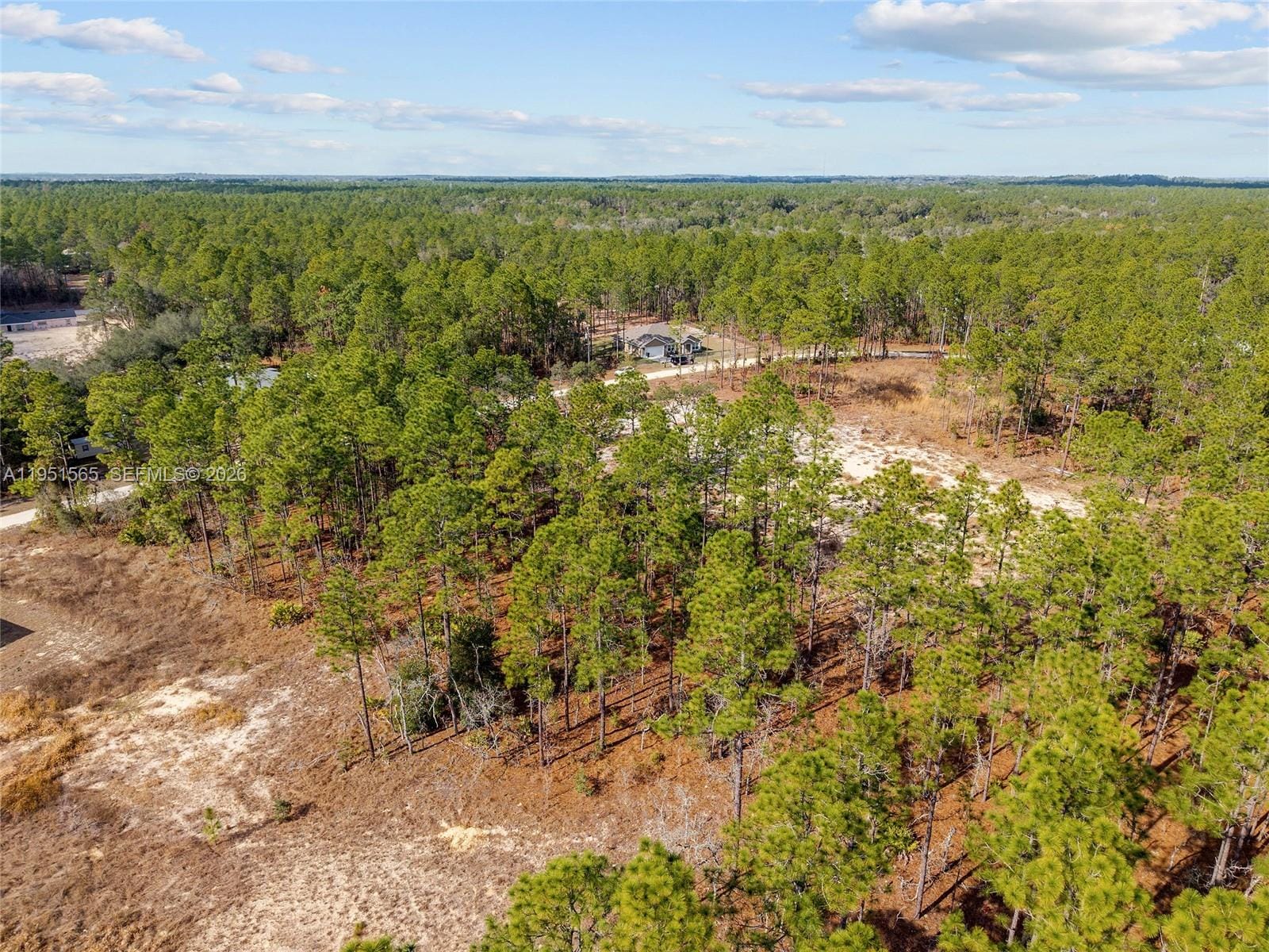 TBD SW 128th Road Terrace, Ocala, FL 34481 photo 15