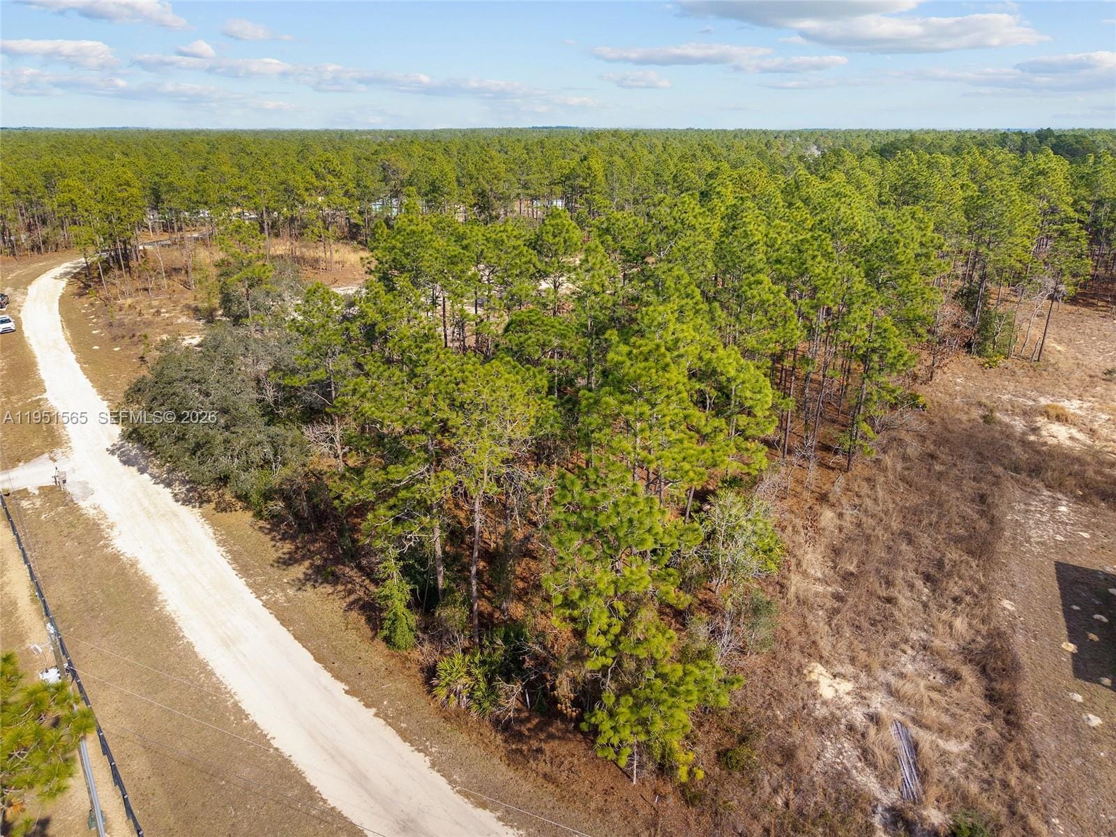 TBD SW 128th Road Terrace, Ocala, FL 34481 photo 19