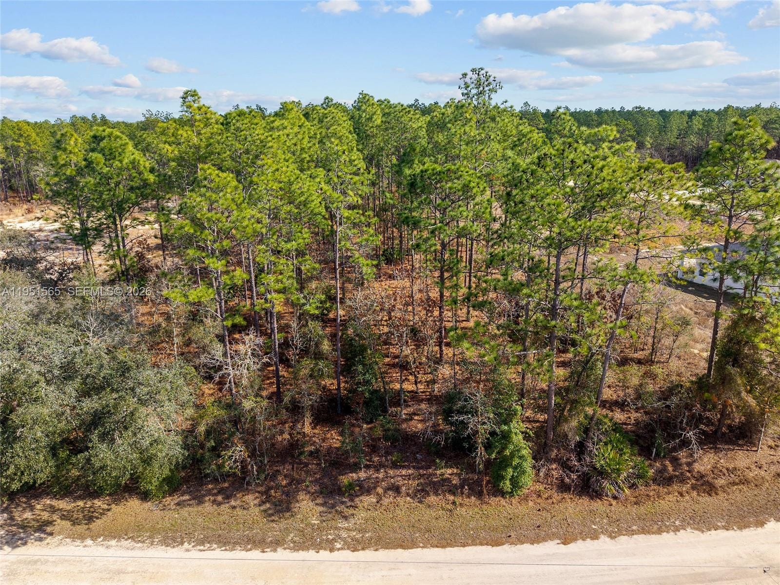 TBD SW 128th Road Terrace, Ocala, FL 34481 photo 21