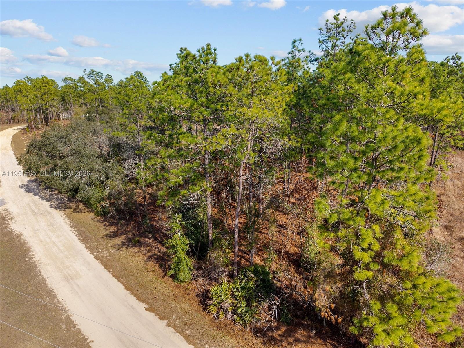 TBD SW 128th Road Terrace, Ocala, FL 34481 photo 22