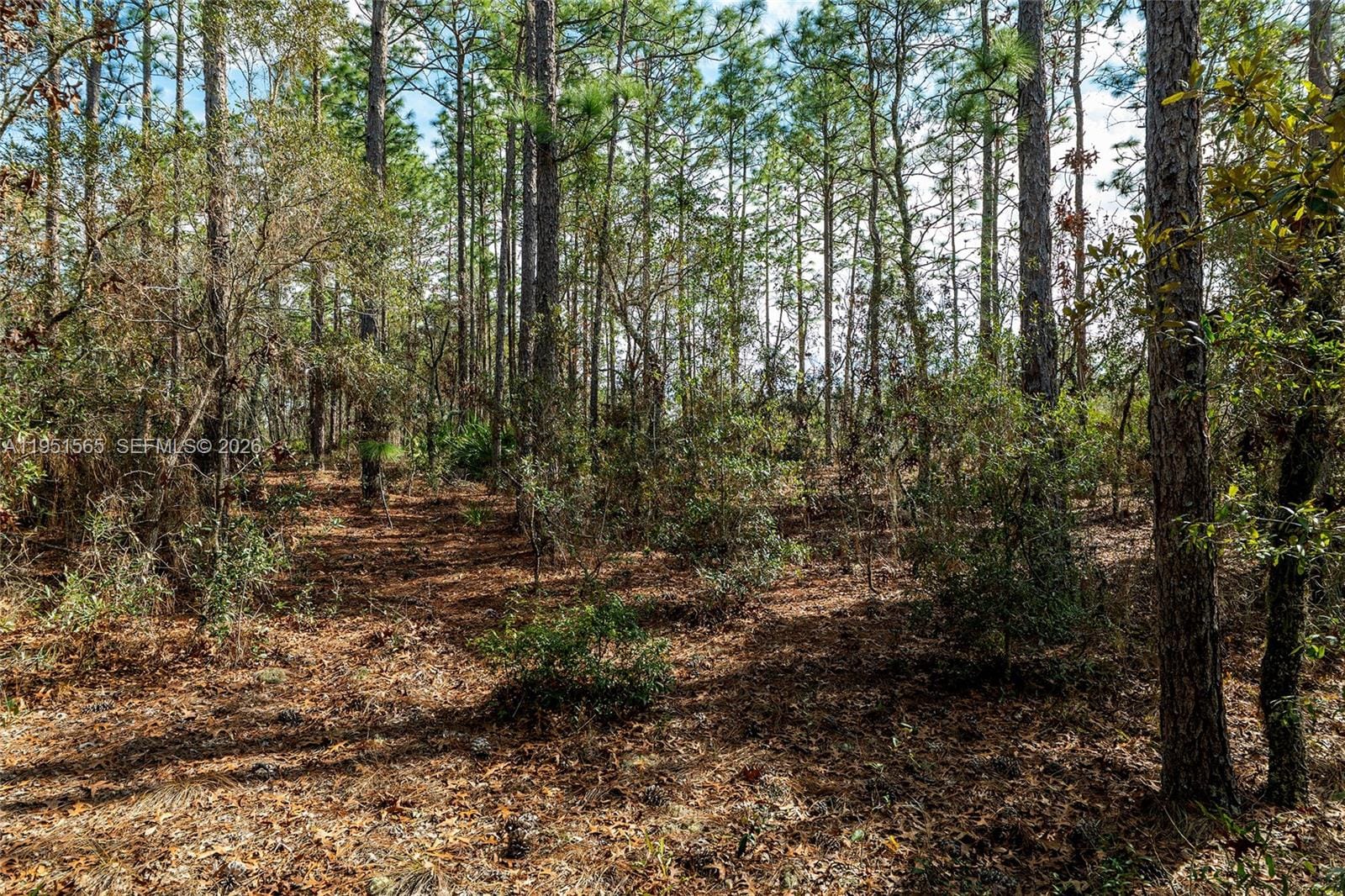 TBD SW 128th Road Terrace, Ocala, FL 34481 photo 27
