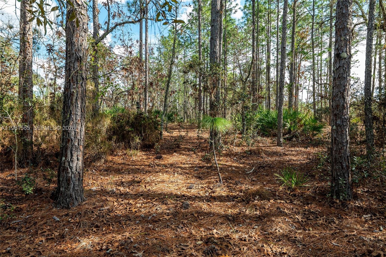 TBD SW 128th Road Terrace, Ocala, FL 34481 photo 28