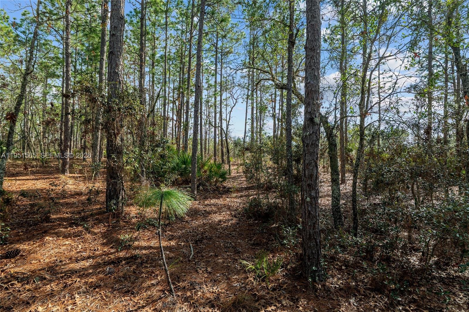 TBD SW 128th Road Terrace, Ocala, FL 34481 photo 29