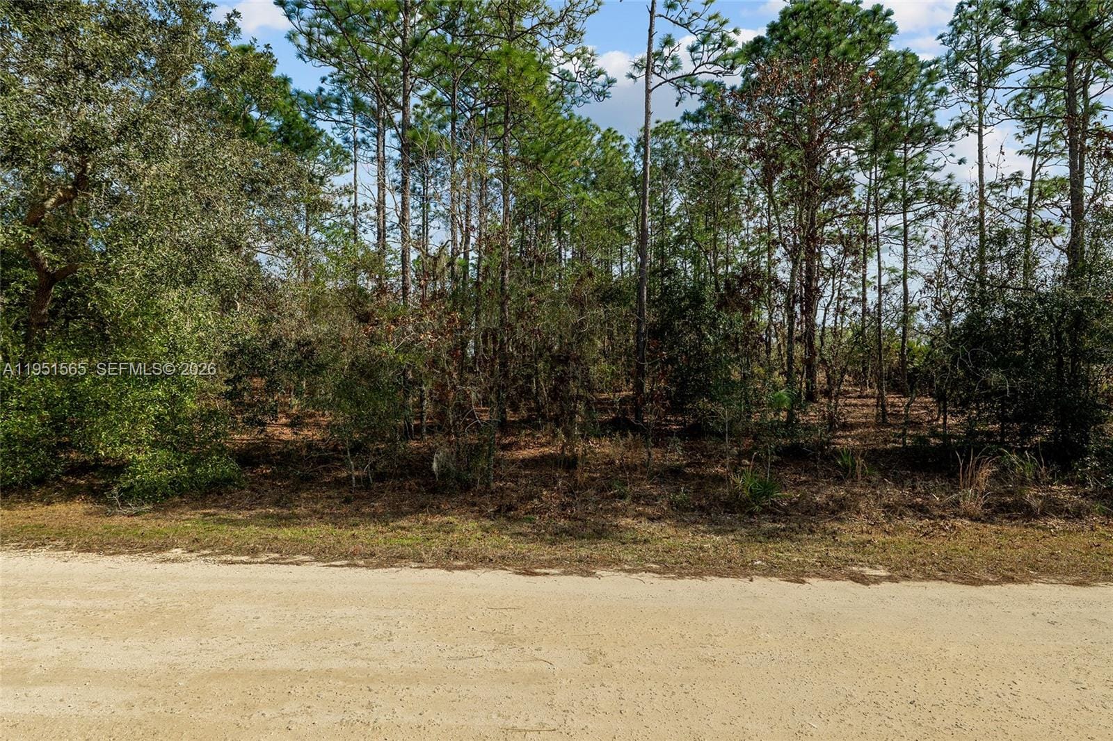 TBD SW 128th Road Terrace — photo 4