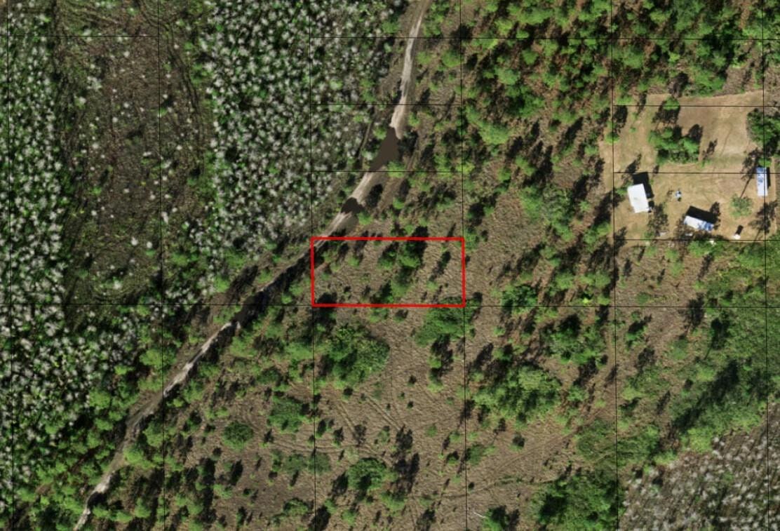0 Holopaw Groves Road — photo 2