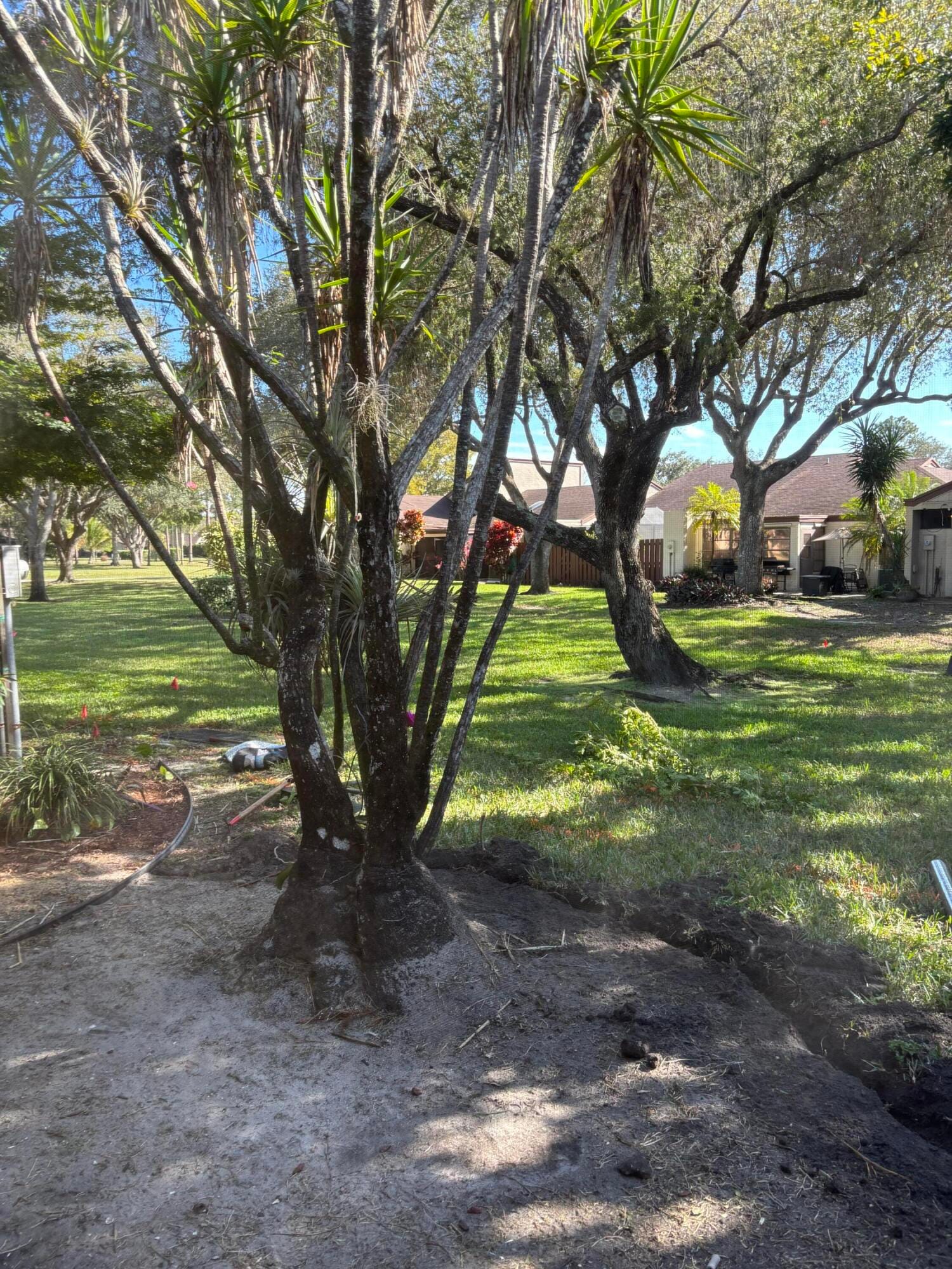11608 Orange Blossom Lane, Boca Raton, FL 33428 photo 18