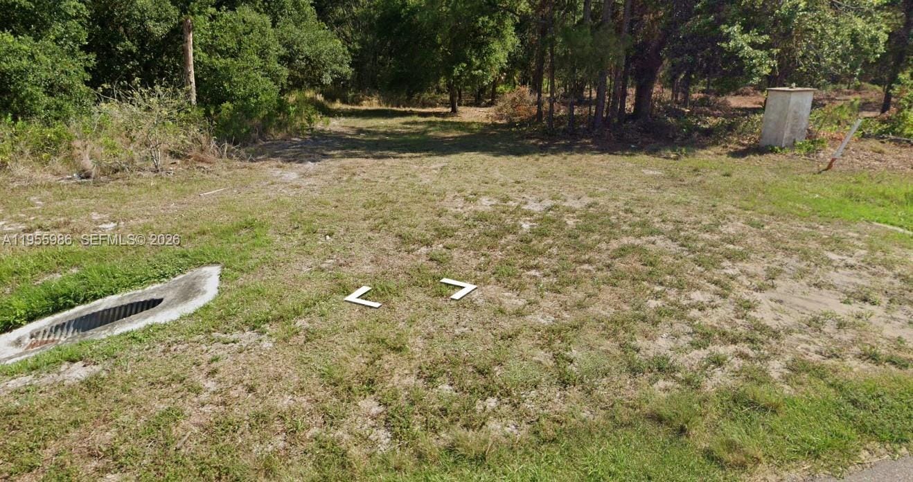 1716 Magnolia Street — photo 3