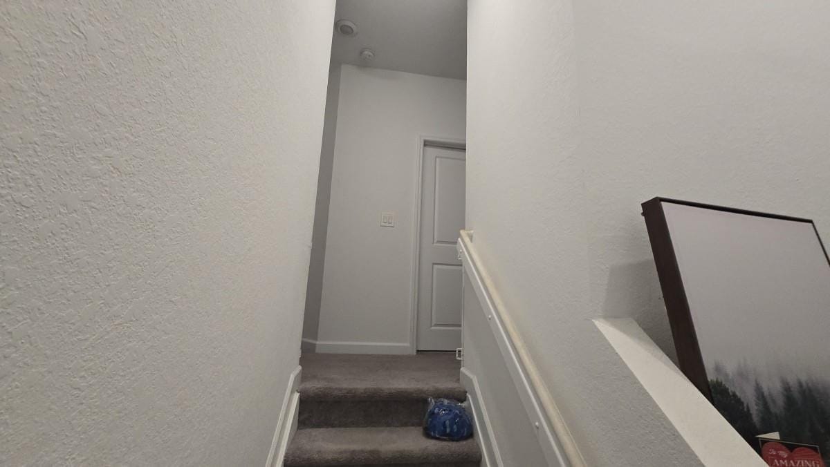 13370 SW 287th Street, Homestead, FL 33033 photo 6