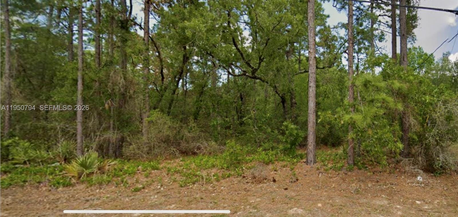 8550 N Citrus Springs Boulevard — photo 1