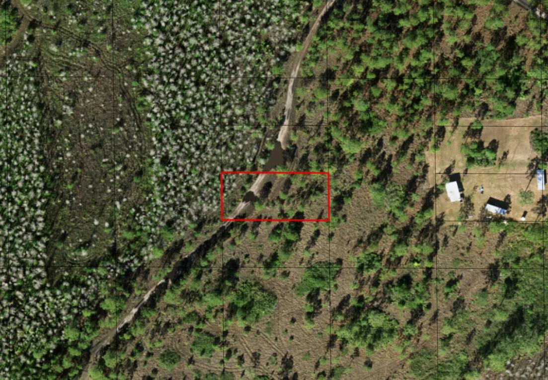 0 Holopaw Groves Road, St. Cloud, FL 34772, St Cloud