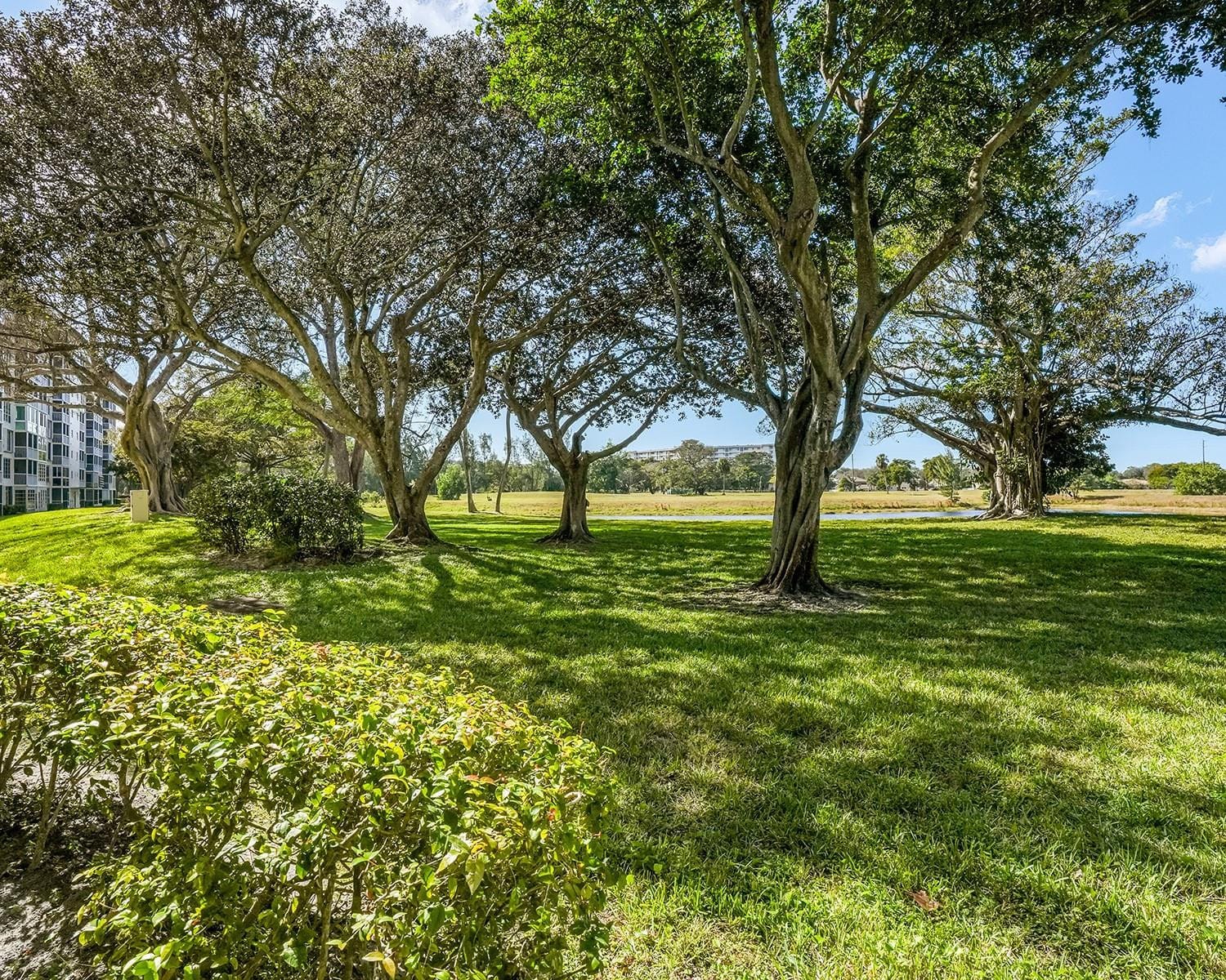 3090 N Course Drive 112, Pompano Beach, FL 33069 photo 23