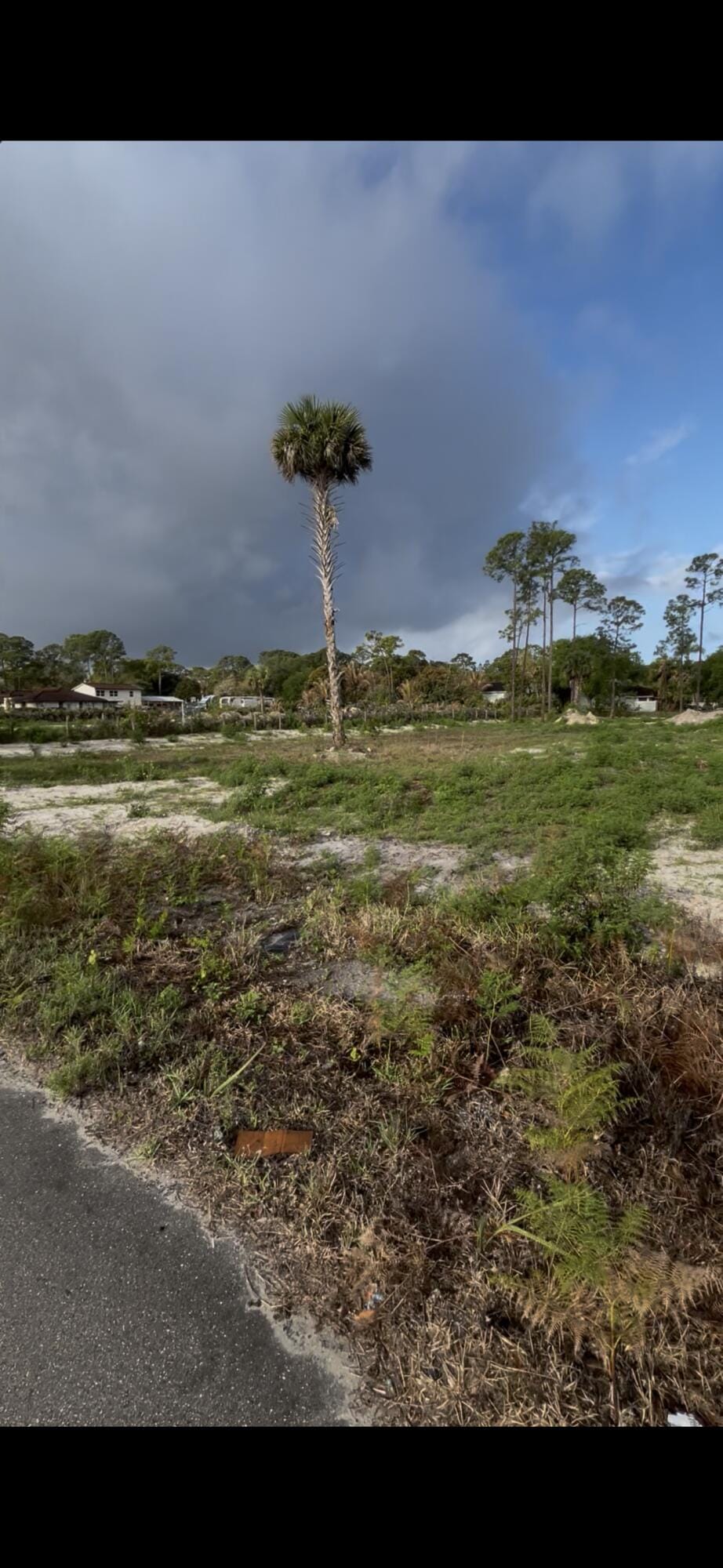 5363 Royal Palm Beach Boulevard — photo 4