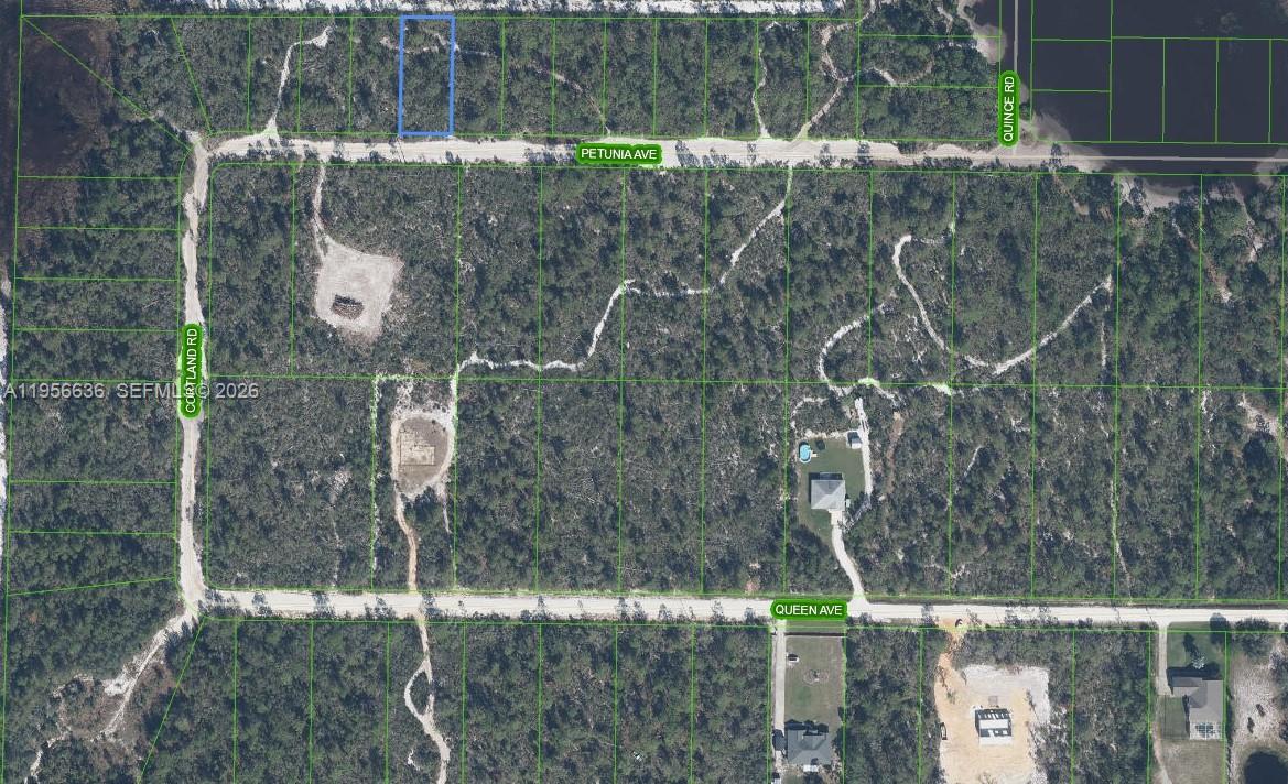 2210 Petunia Avenue, Sebring, FL 33875, Sebring