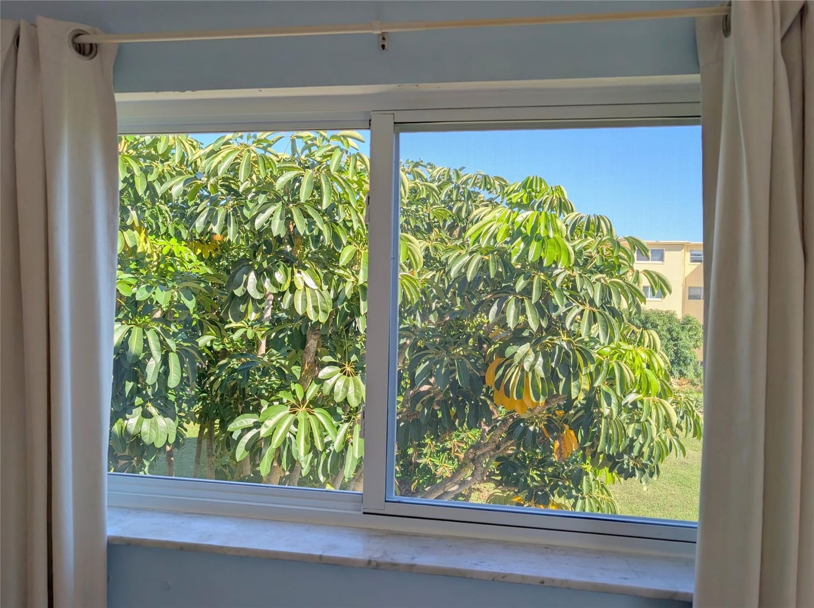 330 NE 26th Avenue 318, Boynton Beach, FL 33435 photo 14