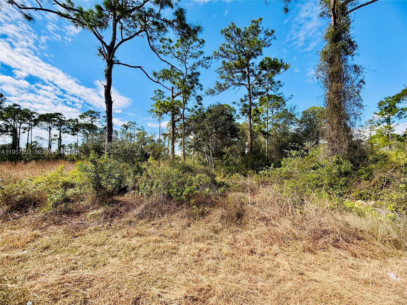 2007 Truman Avenue, FL 33920