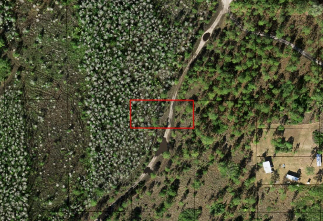 0 Holopaw Groves Road, St. Cloud, FL 34772, St Cloud