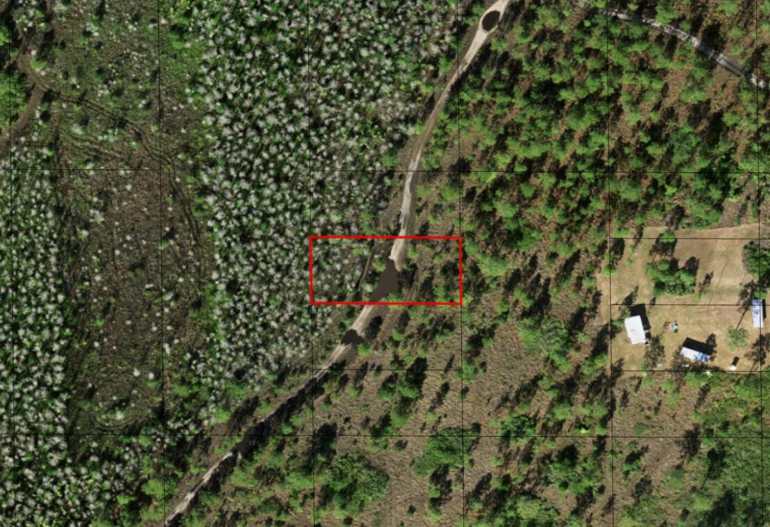 0 Holopaw Groves Road, St. Cloud, FL 34772, St Cloud