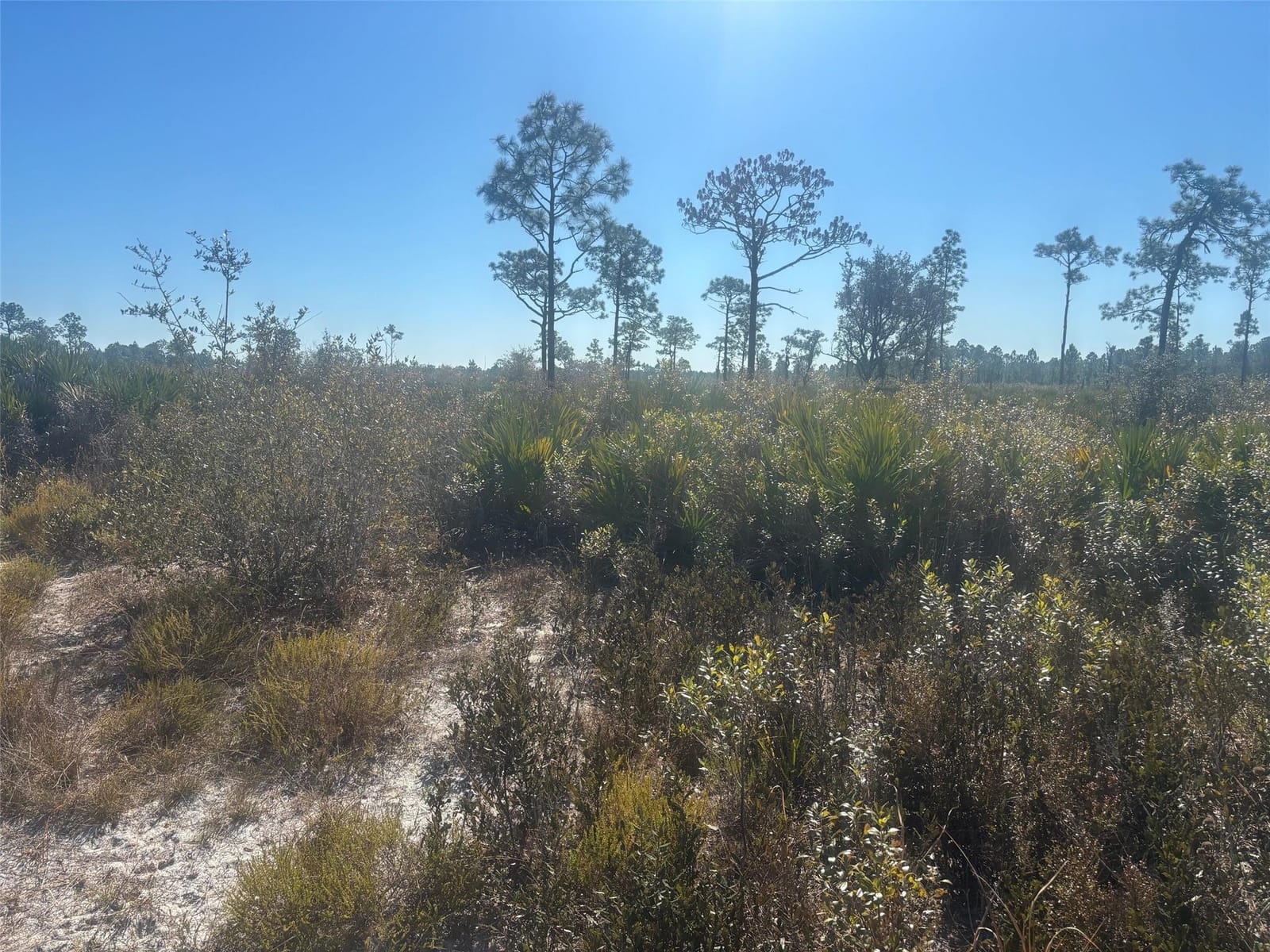 0 Xeriscape Nursery Road — photo 2