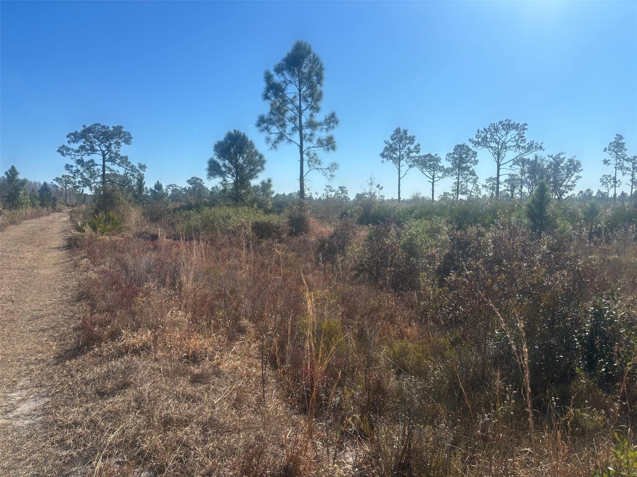 0 Xeriscape Nursery Road, Frostproof, FL 33898, Frostproof