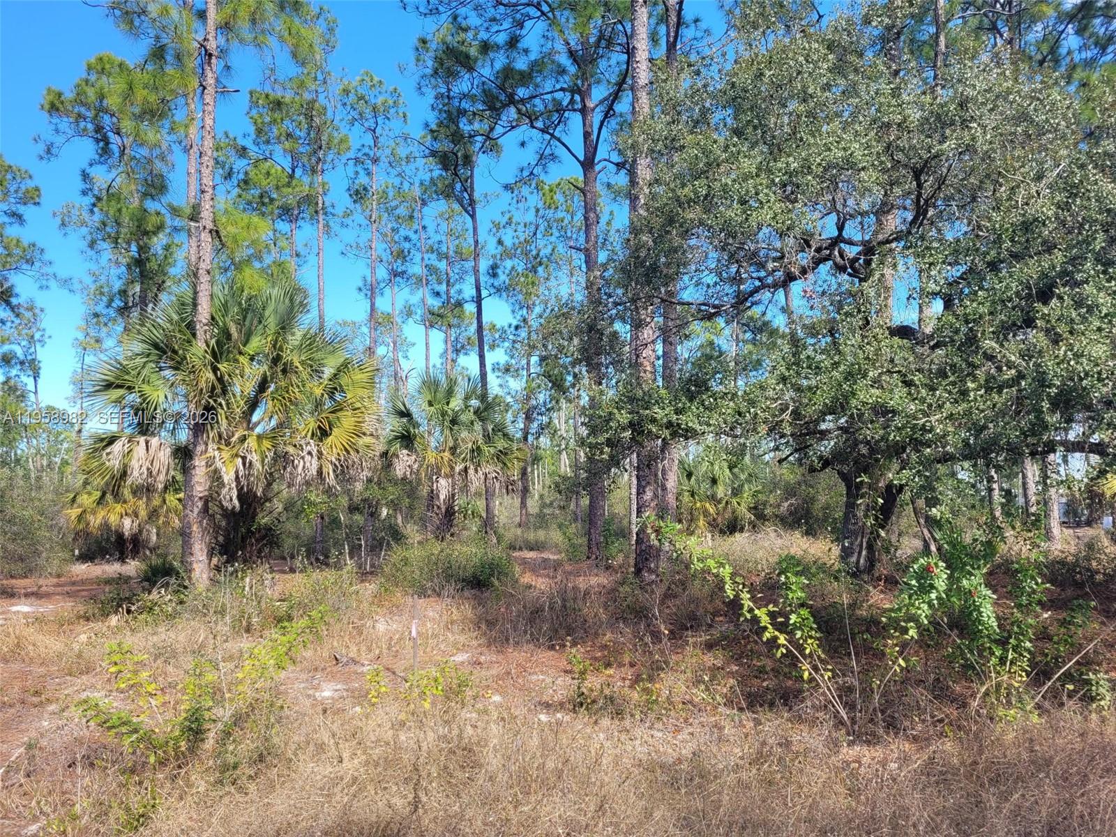 7620 19th Wheeler Place, LaBelle, FL 33935, Labelle