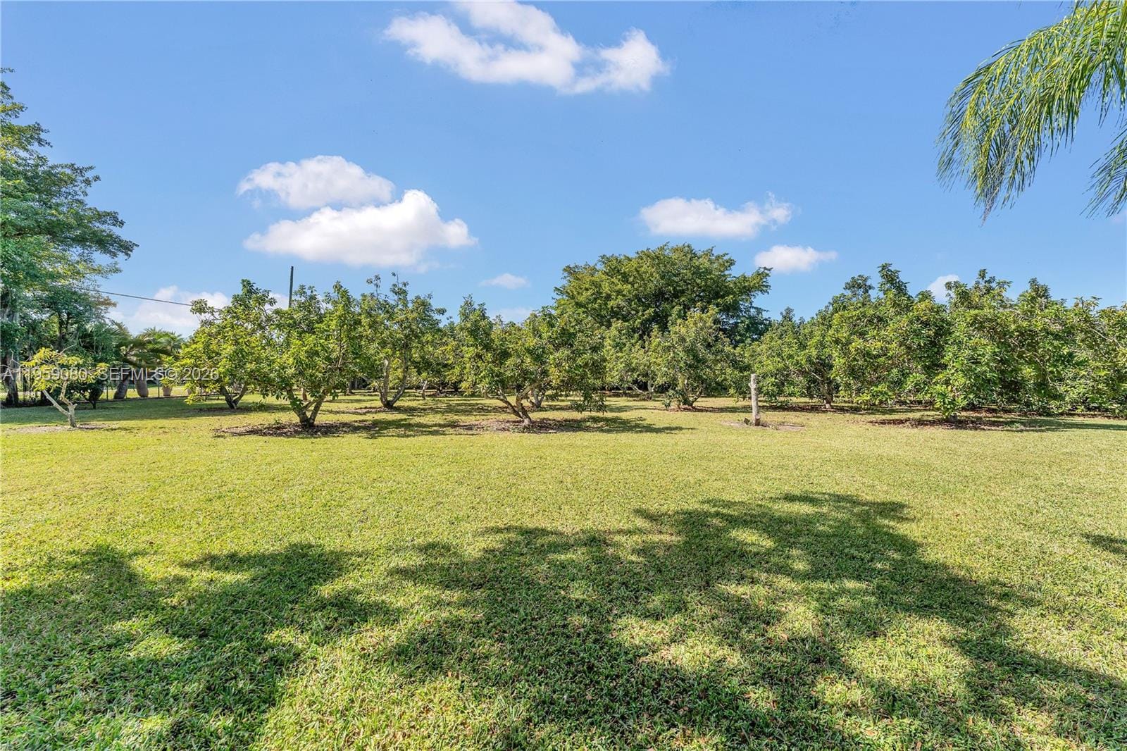 19225 SW 186th Street, Miami, FL 33187 photo 23