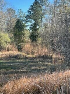 5123 Elmore Road — photo 9