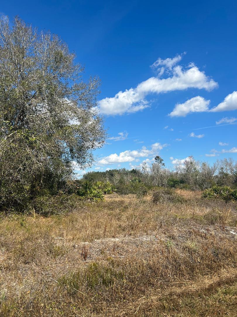 18133 NW 284th Street, Okeechobee, FL 34972, Okeechobee