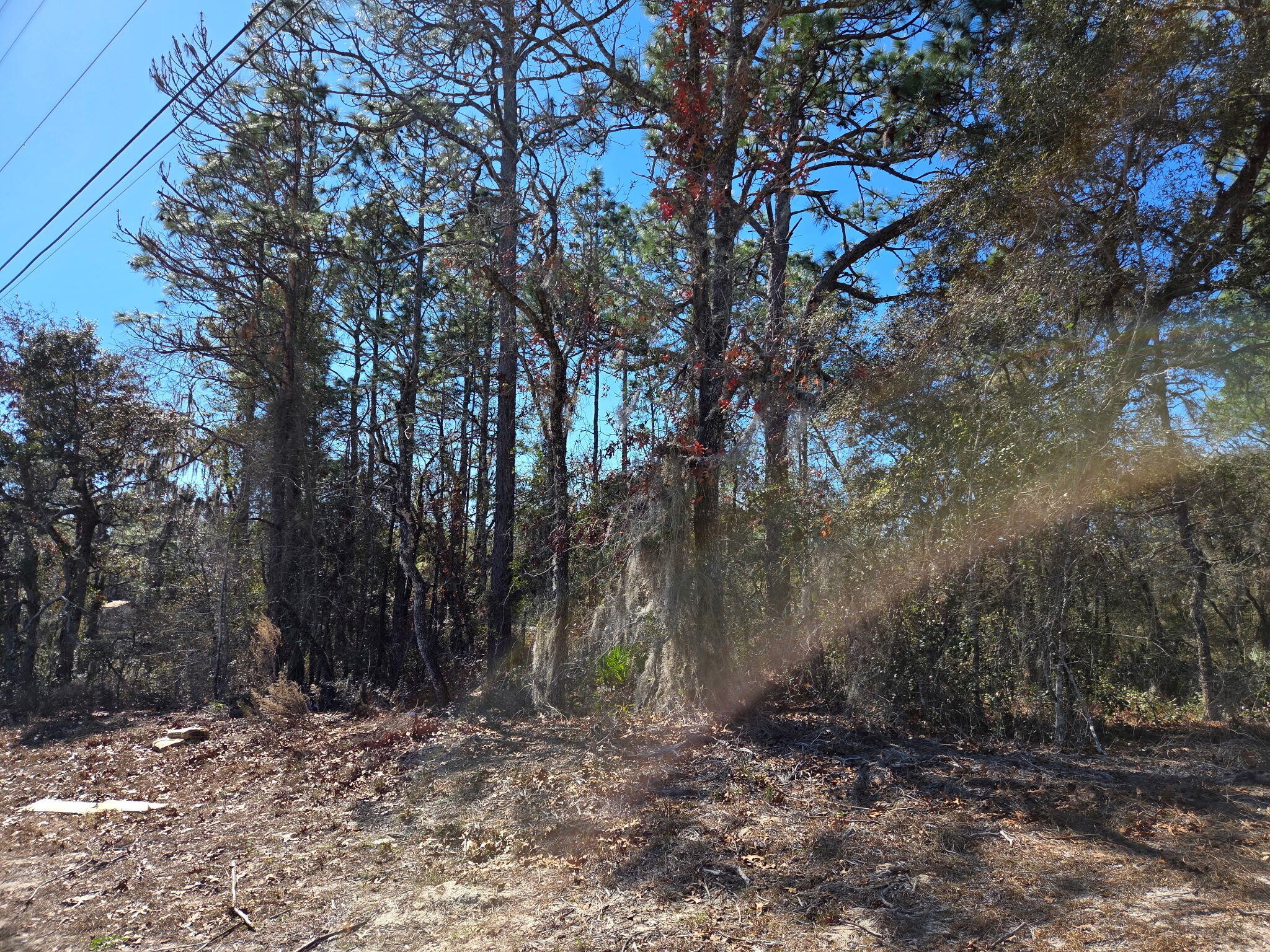 8 Marion Oaks Lane, FL 34473, Ocala
