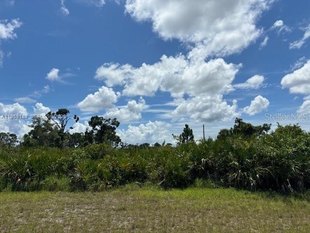 29328 Pontico Street, Punta Gorda, FL 33982, Punta Gorda