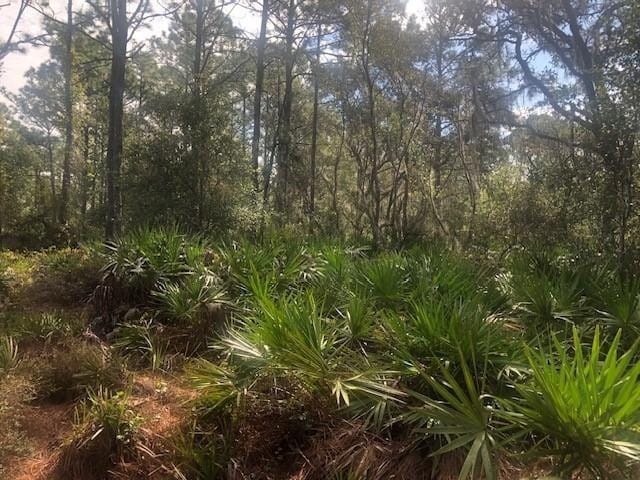 0 Old Grade Road — photo 2