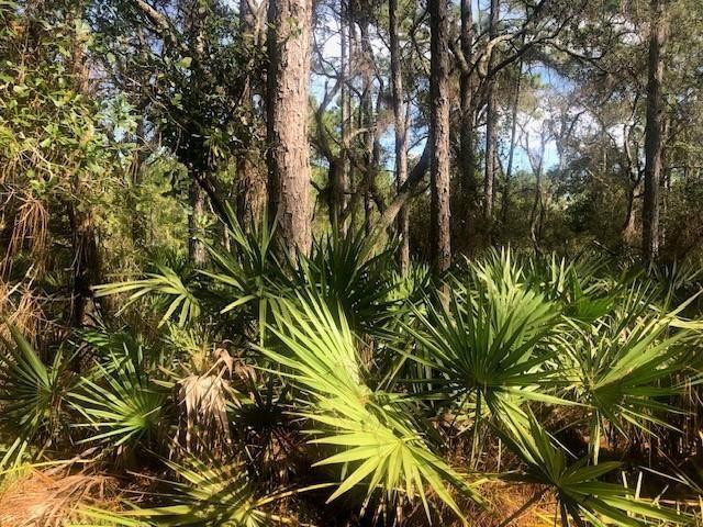 0 Old Grade Road, FL 33868, Polk City