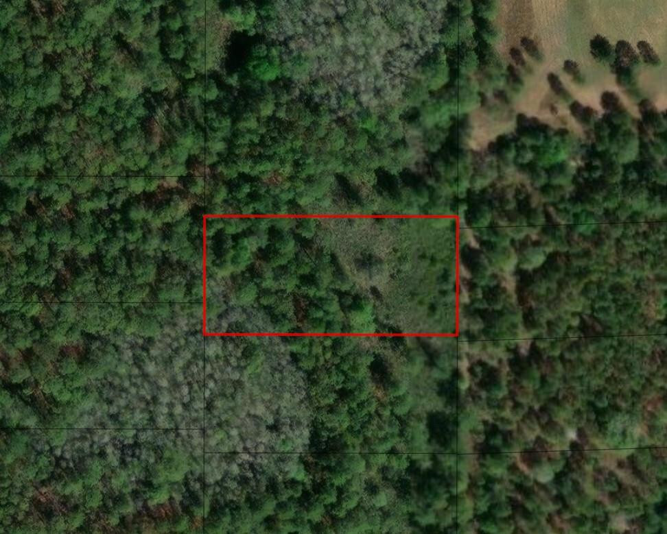 0 Poyner Road, FL 33868, Polk City