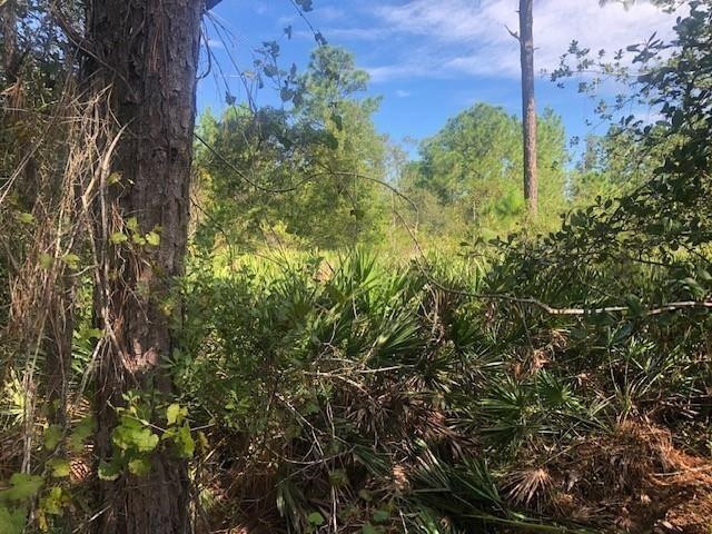0 Old Grade Road, FL 33868, Polk City