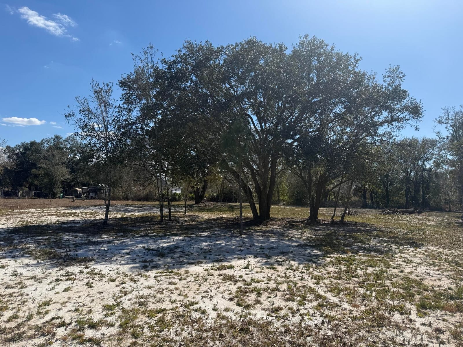 18990 NW 284th Street, Okeechobee, FL 34972 photo 6