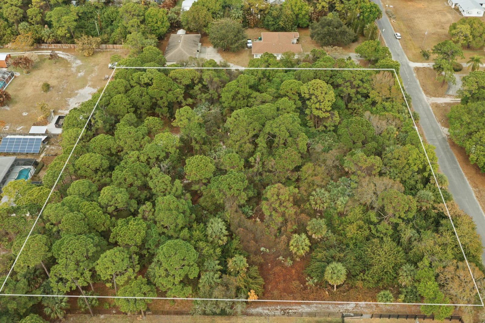 0 Pinetree Drive — photo 4