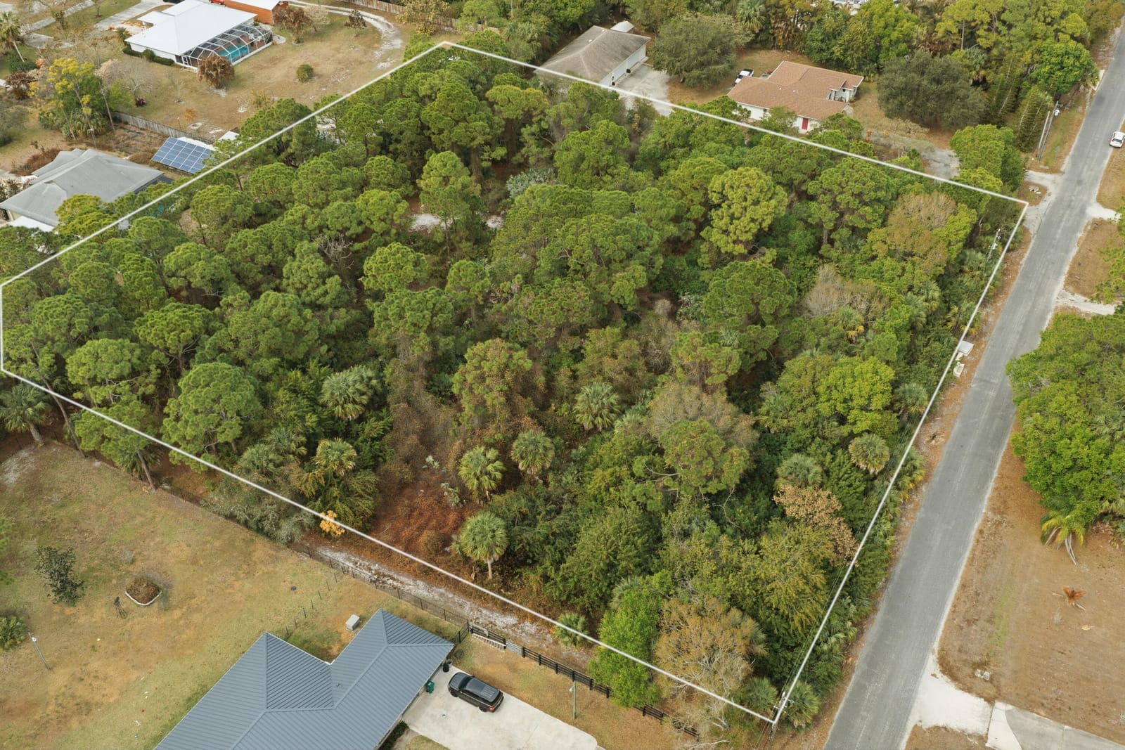 0 Pinetree Drive — photo 10