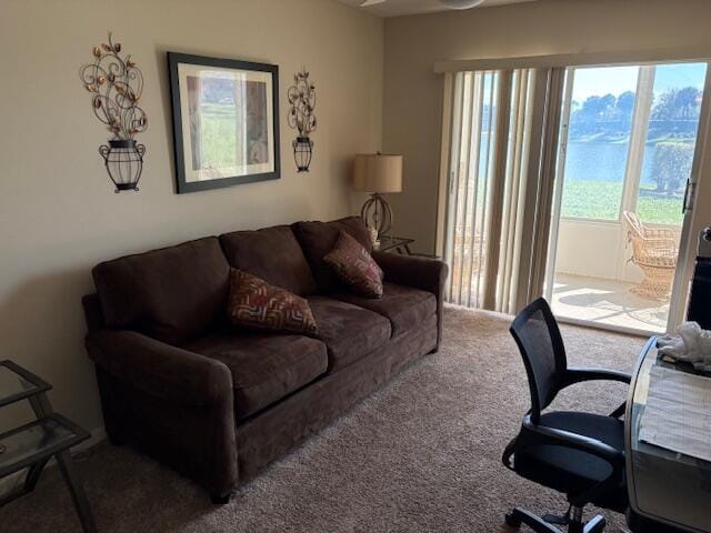 1015 Cornwall A 1015 — photo 11