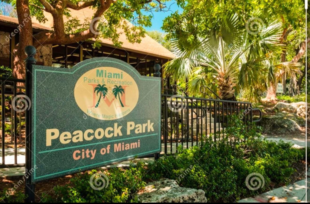 3037 Elizabeth Street 3037, Miami, FL 33133 photo 29