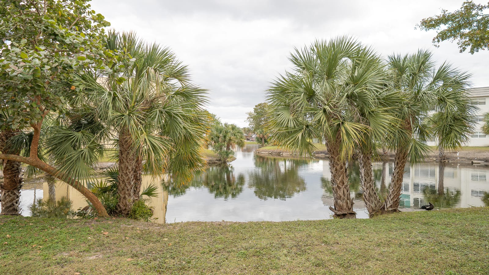 8285 Sunrise Lakes Boulevard 110, Sunrise, FL 33322 photo 21