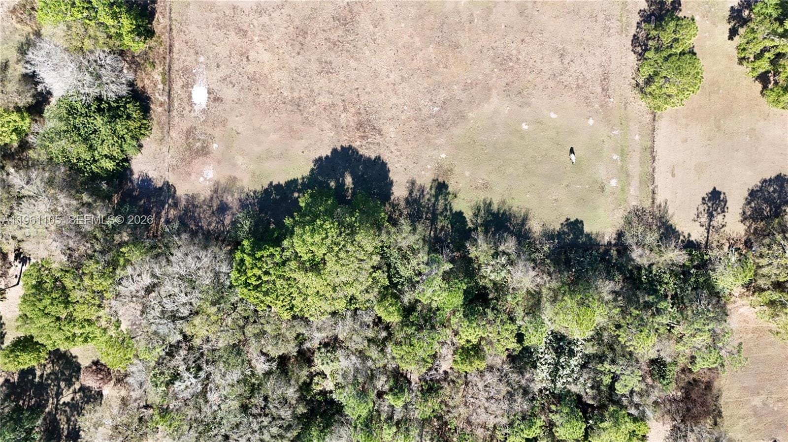 448 NW 34th Street, Okeechobee, FL 34972 photo 14