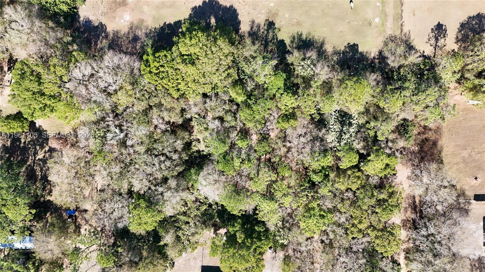 448 NW 34th Street, Okeechobee, FL 34972 photo 15