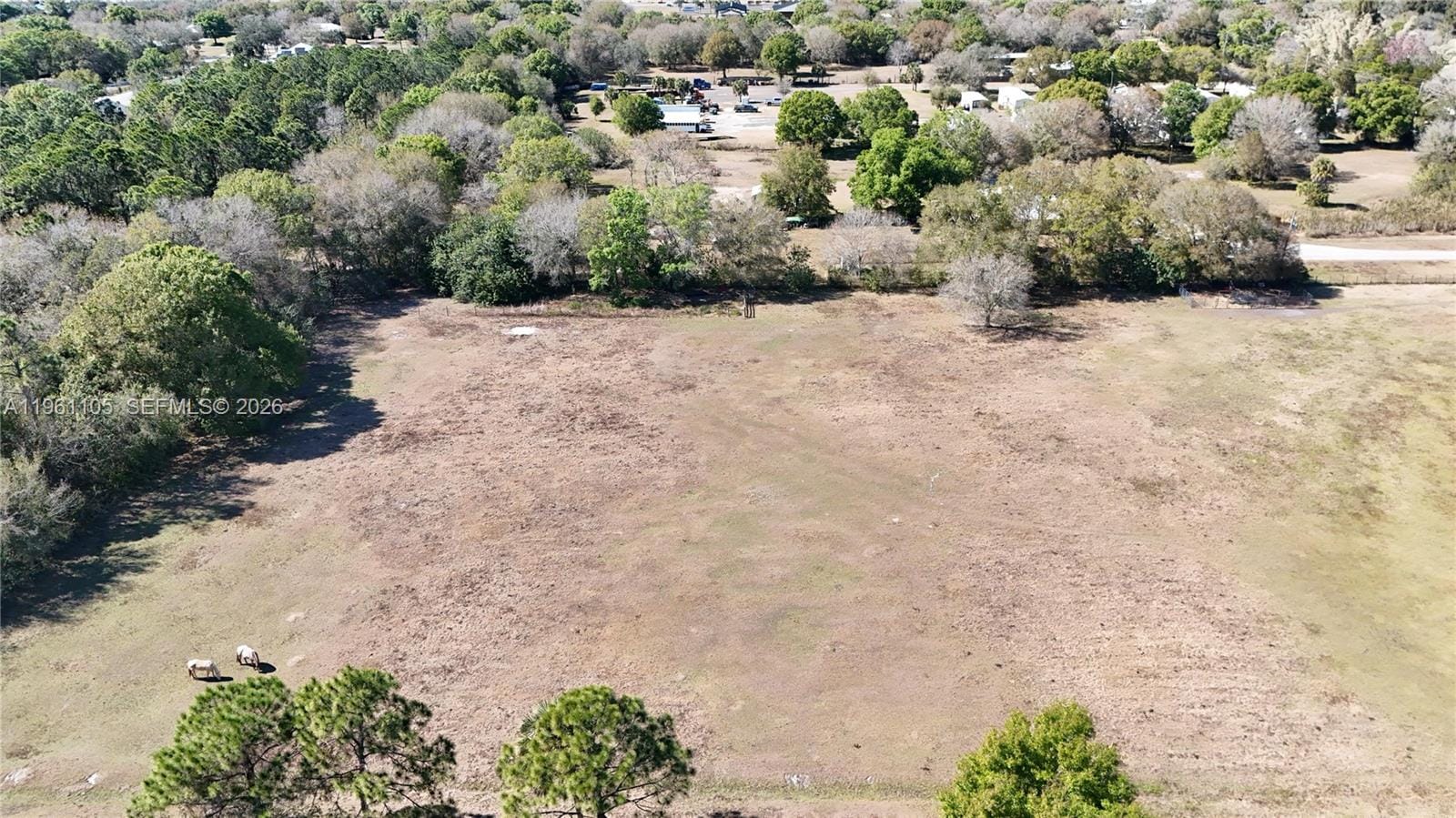 448 NW 34th Street, Okeechobee, FL 34972 photo 4