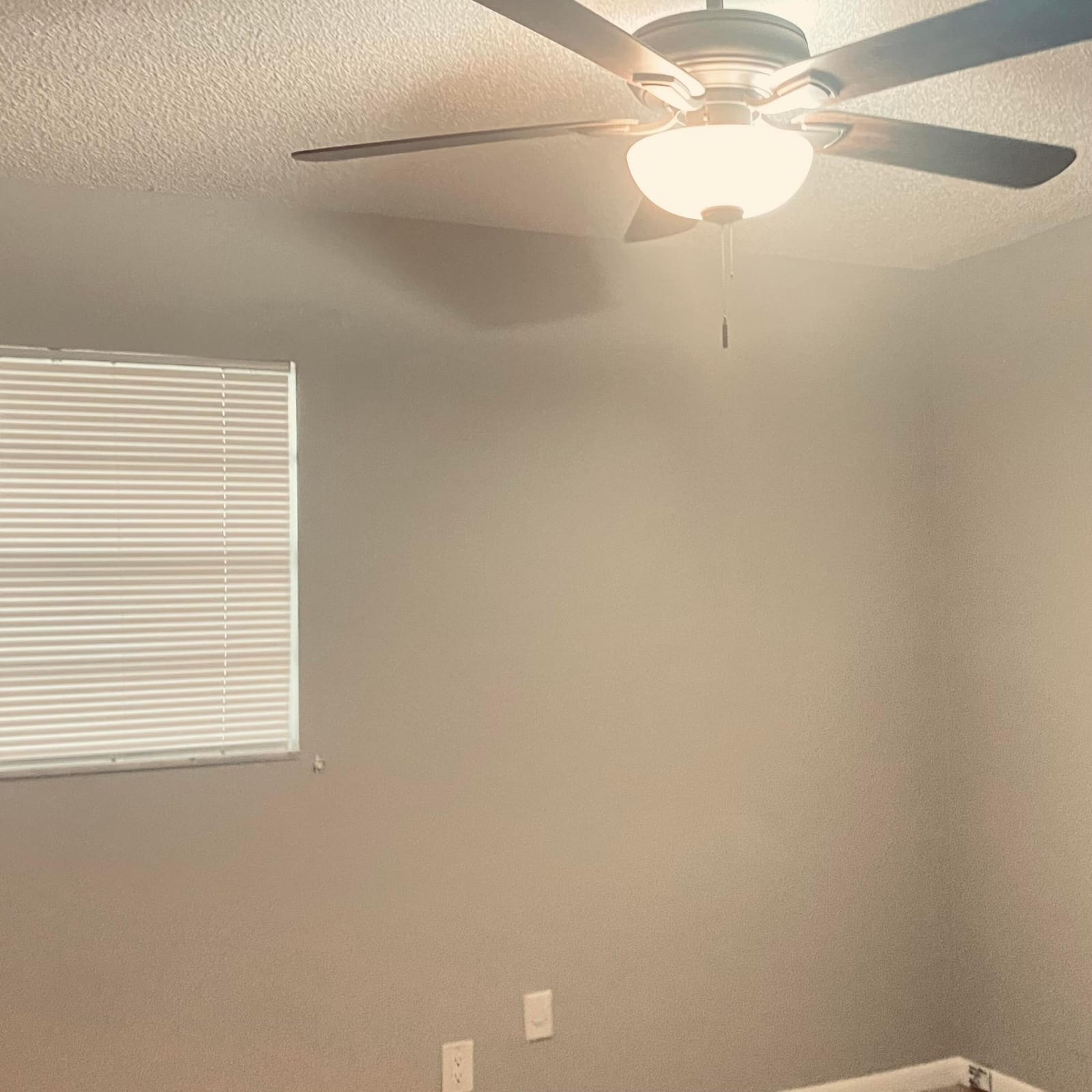 177 Flanders D 177 — photo 8