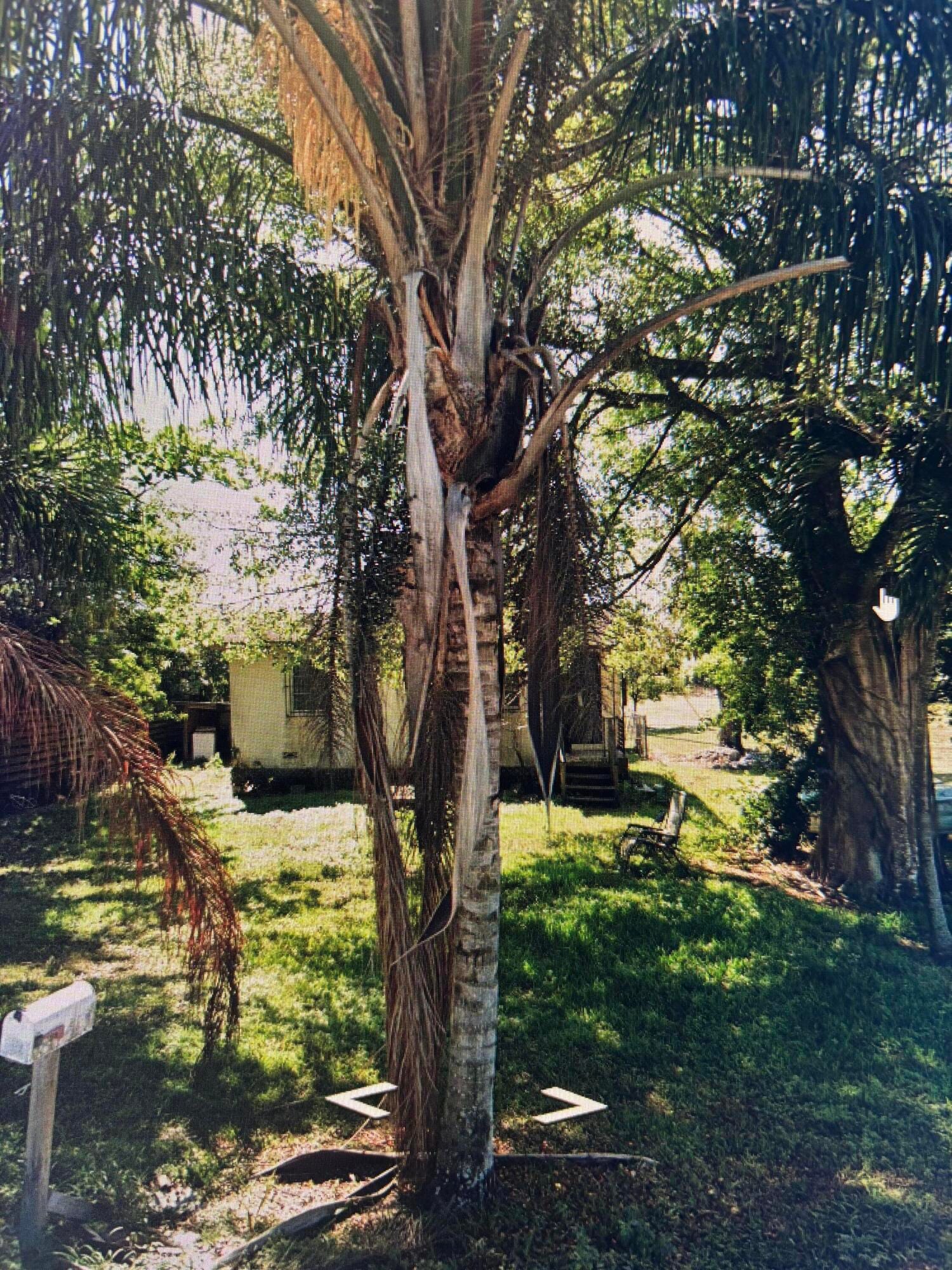 1624 NW Avenue L, Belle Glade, FL 33430 photo 4