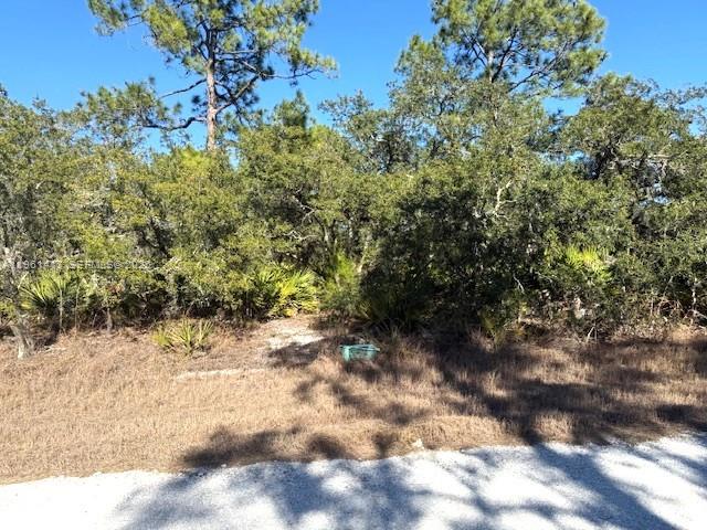 3221 N Dahlia, Lake Placid, FL 33852, Lake Placid