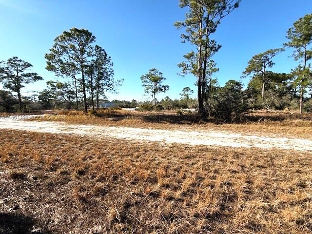 547 Branchwood Avenue, Lake Placid, FL 33852, Lake Placid