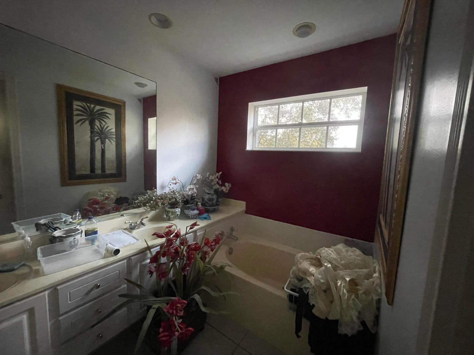 289 Barbados Drive — photo 11