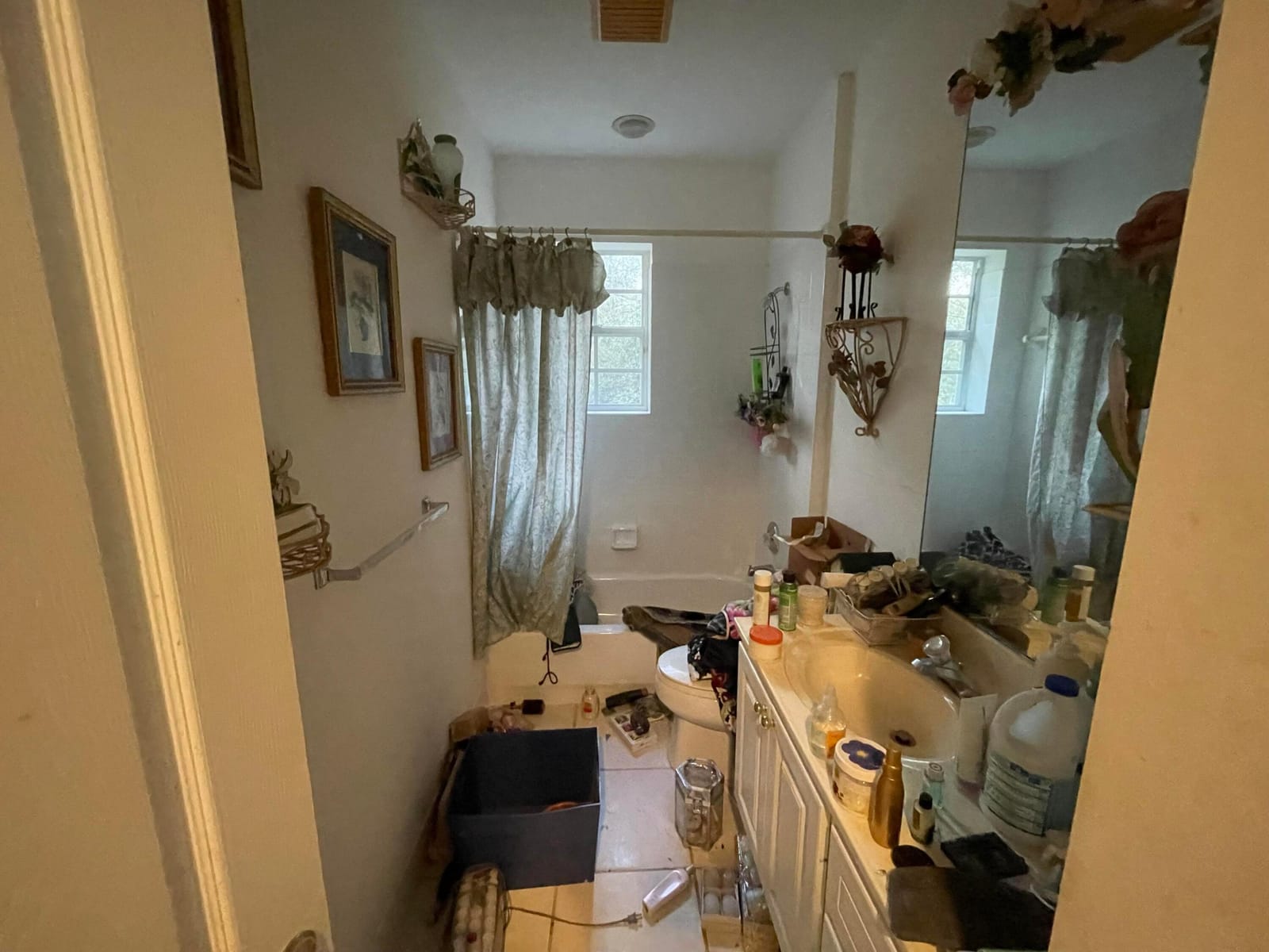 289 Barbados Drive — photo 7