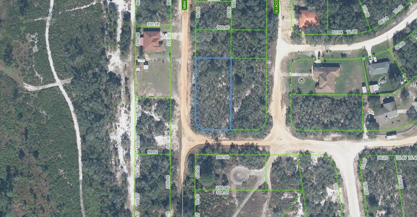 2400 Mink Road, Avon Park, FL 33825 photo 4