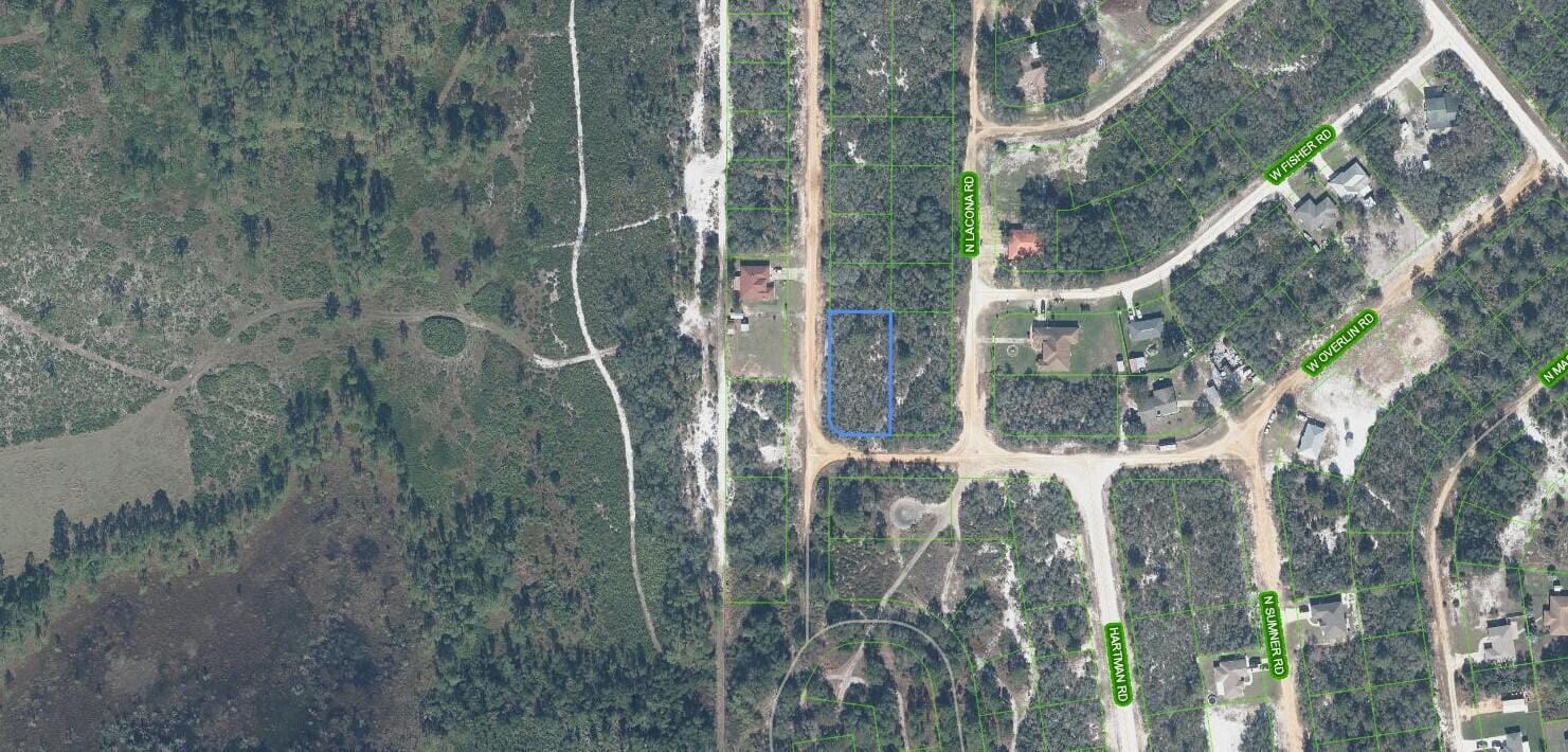 2400 Mink Road, Avon Park, FL 33825 photo 5